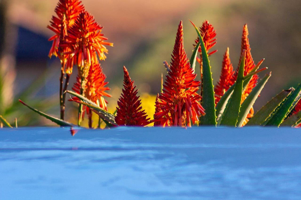 Inkungu Lodge Champagne Valley ภายนอก รูปภาพ